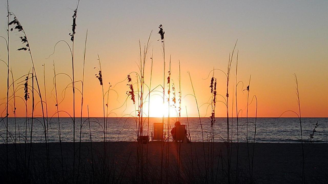 C7-Dolphin Villa St. Pete Beach Bagian luar foto