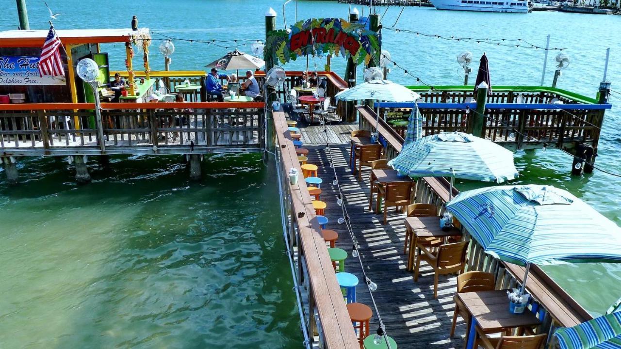 C7-Dolphin Villa St. Pete Beach Bagian luar foto